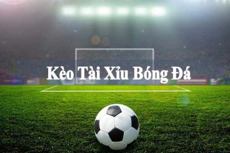 Kèo Tài Xỉu - Một Số Loại Kèo Phổ Biến Và Cách Tính Tiền Kèo tài xỉu 1.75